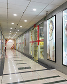 <strong>集紅堂學(xué)校環(huán)境</strong>