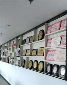 <strong>上海新東坊學(xué)校環(huán)境</strong>