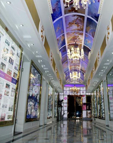 <strong>學(xué)校掠影</strong>