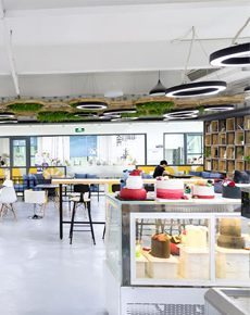 <strong>學(xué)校環(huán)境</strong>