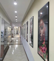 <strong>學(xué)校環(huán)境</strong>