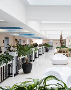 <strong>學(xué)校環(huán)境</strong>