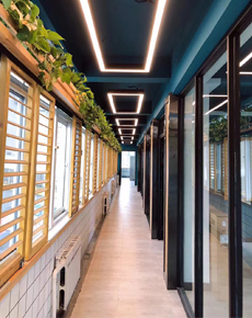 <strong>學校掠影</strong>