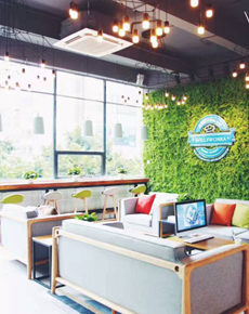 <strong>學(xué)校環(huán)境</strong>