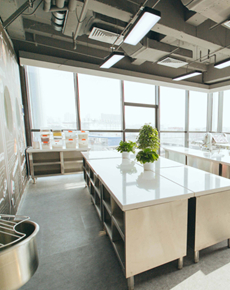 <strong>學(xué)校老師</strong>